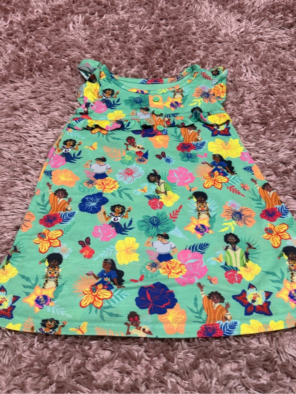 Encanto Dress from Disneyland size 3